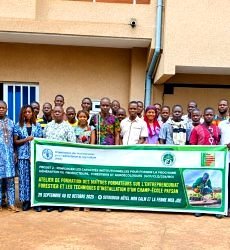 Entrepreneuriat forestier : le REJEPPAT renforce les capacités de 22 maîtres formateurs à Sotouboua