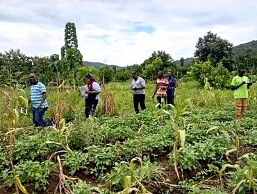 Entrepreneuriat forestier : le REJEPPAT renforce les capacités de 22 maîtres formateurs à Sotouboua