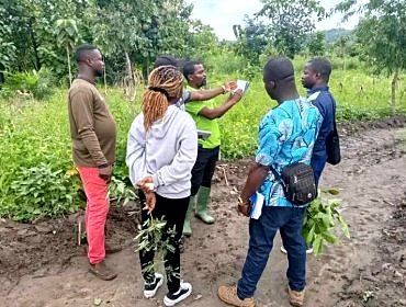 Entrepreneuriat forestier : le REJEPPAT renforce les capacités de 22 maîtres formateurs à Sotouboua