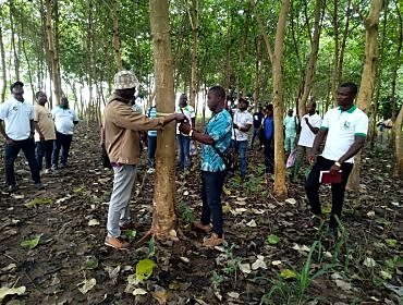 Entrepreneuriat forestier : le REJEPPAT renforce les capacités de 22 maîtres formateurs à Sotouboua