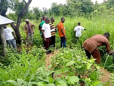 Entrepreneuriat forestier : le REJEPPAT renforce les capacités de 22 maîtres formateurs à Sotouboua