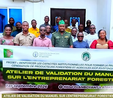 Le REJEPPAT se dote de nouveaux outils de formation pour renforcer l’entrepreneuriat forestier