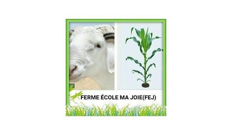 Ferme école Ma Joie