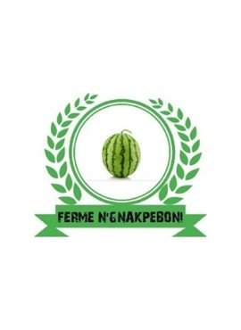 Ferme école N’Gnakpeboni