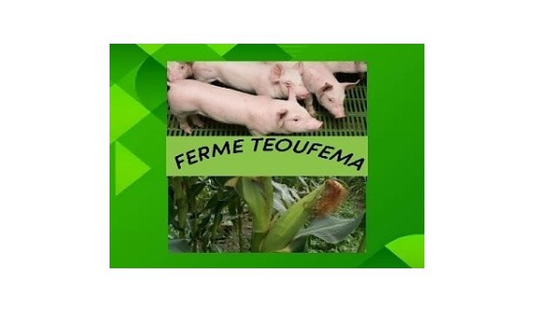 Ferme école Teoufema
