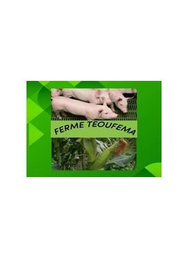 Ferme école Teoufema