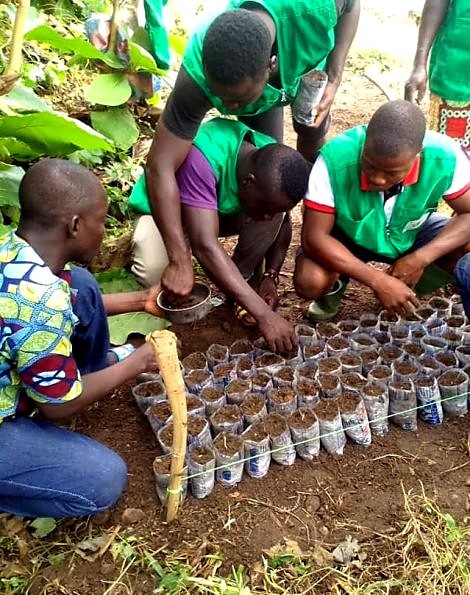 Jeunes producteurs en formation