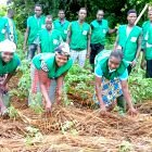 Jeunes producteurs du REJEPPAT