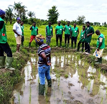 Projet d’Agriculture Intelligente face au Climat