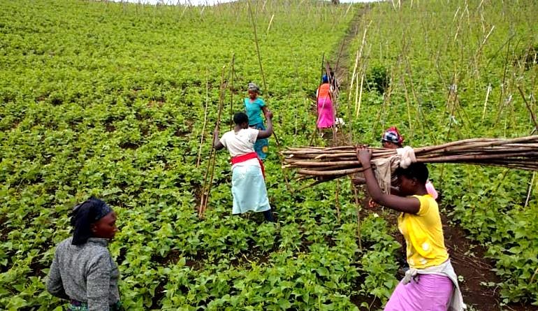 Projet d’Autonomisation des Femmes Rurales