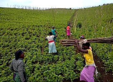 Autonomisation des Femmes Rurales