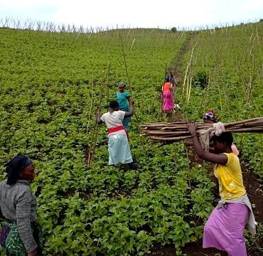 Projet d’Autonomisation des Femmes Rurales