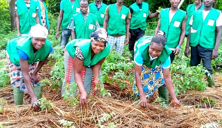 Projet de Formation et d’Insertion des Jeunes Agriculteurs