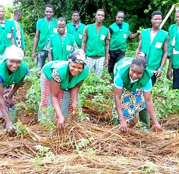 Projet de Formation et d’Insertion des Jeunes Agriculteurs