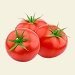 Tomates