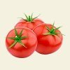 Tomates